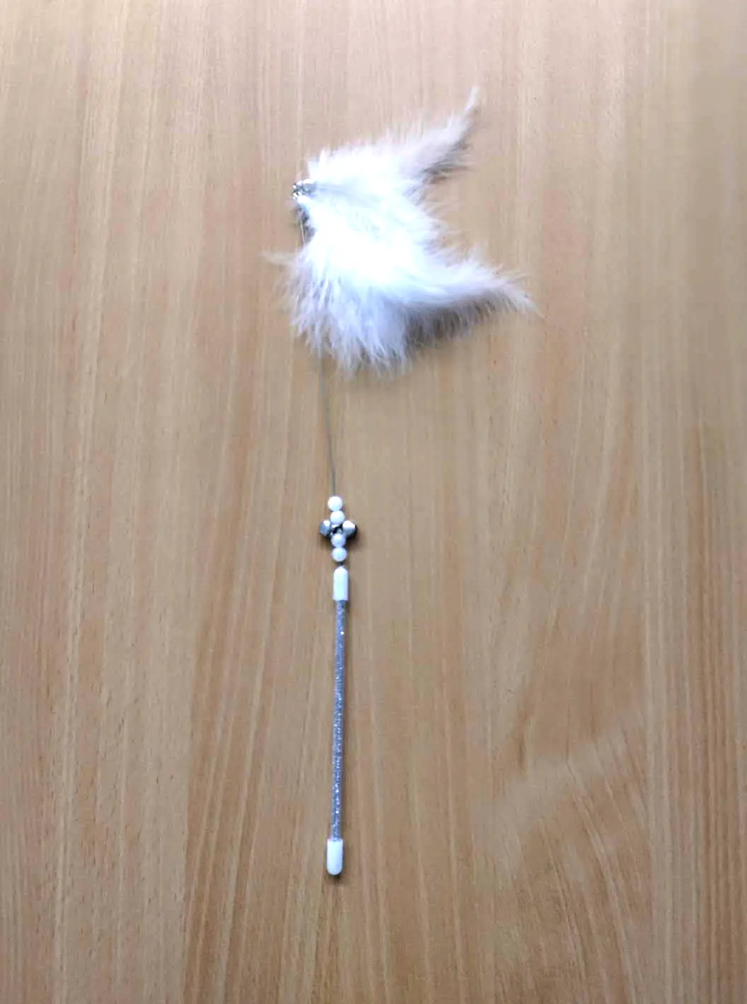 Ginger is afraid of feather